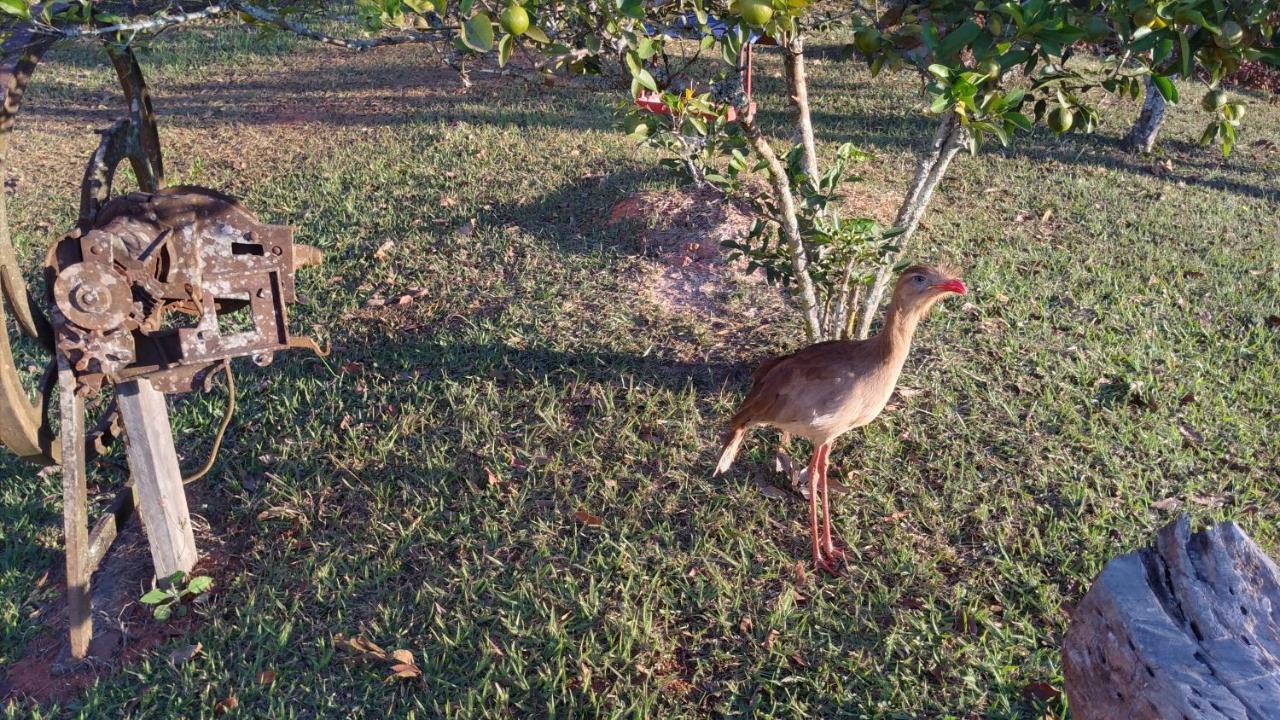 Pouso Da Siriema - Villa Bizuca Tiradentes Buitenkant foto